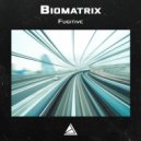 Biomatrix - Traffic Lights (Original Mix)