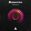 Biomatrix - Gangs Of Chicago
