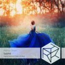 Akihiro Ohtani - Sylphid