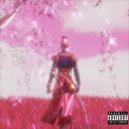 FLASHBOY - Stealth Mode 2
