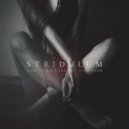 Stridulum - Collapse (Original Mix)