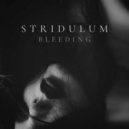Stridulum - Bleeding (Original Mix)