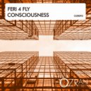 Feri 4 Fly - Consciousness (Original Mix)