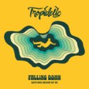 Tropidelic & 311 - Falling Down ()