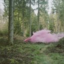 Lisandro (AR), Covak - Life of Trees