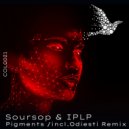 Soursop & IPLP - Pigments (Original Mix)