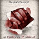 ZAMUROVANNII - В гостях у воли (Original Mix)