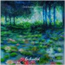 Salvador Vinhas - Enchanted (Original Mix)