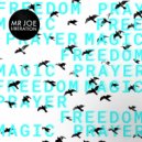 Mr Joe - Majestic