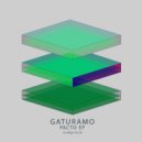 Gaturamo - Dezesseis Luas (Original Mix)
