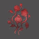 An On Bast - Rose Garden (Original Mix)
