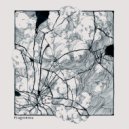 Brizzli - Fragments (saint ives Vocal Edit)
