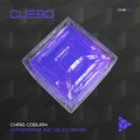 Chris Coburn - I\'ve Got (RILEY (UK) Remix)