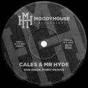 Cales & Mr Hyde - Acid Break, Funky Groove (Instrumental Mix)