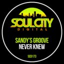 Sandy's Groove - Never Knew