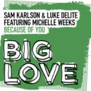 Sam Karlson & Luke Delite featuring Michelle Weeks - Because Of You (Extended Mix)