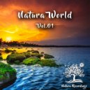 New World - Giver of Life (Original Mix)