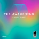 Placidic Dream - The Serpent (Original Mix)