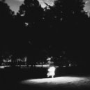 a chorus of whales - White Noise / Black Void ()