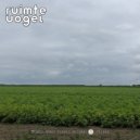 Ruimte Vogel - World Of Vocal (Original Mix)