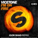 Vicetone - I'm On Fire