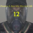 SVnagel (LV) - Drumm & Bass Mix Rhythm Life 12 by ()