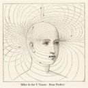 Mike & the Y-Tones - Near Perfect ()