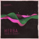 Herba - Essenz Of Groove (Original Mix)