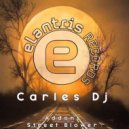 Carles DJ - Addons (Original Mix)