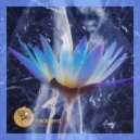 Darksidevinyl - Shine You Crazy Diamond (Original Mix)