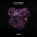 Felix Steinberg - Crazy Track