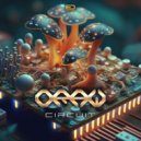 ORAW - Circuit ()