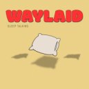 Waylaid - Crazy ()