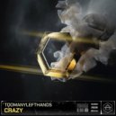 TooManyLeftHands - Crazy