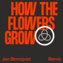 Royksopp, Pixx - How The Flowers Grow