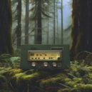 Abra-Ham - Nostalgic Reverberations ()