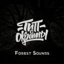 Тип с окраины - Forest Sounds (Original)