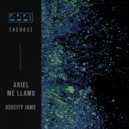 Ariel Me Llamo, Forma - Revo (Original Mix)
