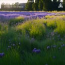 Moon Projection - Summer Tune