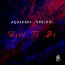 Aquadeep, Veesoul - Bring It On
