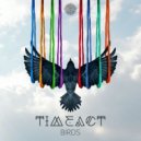 Timeact - Unleashed