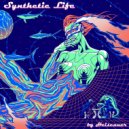 Heisenner - Synthorizing ()