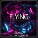 Ronny Santana - Flying (Original Mix)