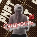 PNPT - Сущность