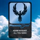 Adam Nyquist - All You Need