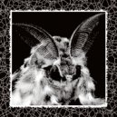 Firefly - Mothman ()