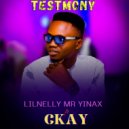 Lilnelly Mr Yinax & CKAY - TESTMONY (feat. CKAY) ()