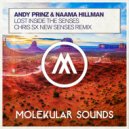 Andy Prinz, Naama Hillman - Lost Inside The Senses