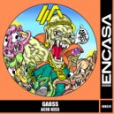 Gabss - When you hear acid