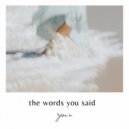 Zeni N - the words you said (Original Mix)